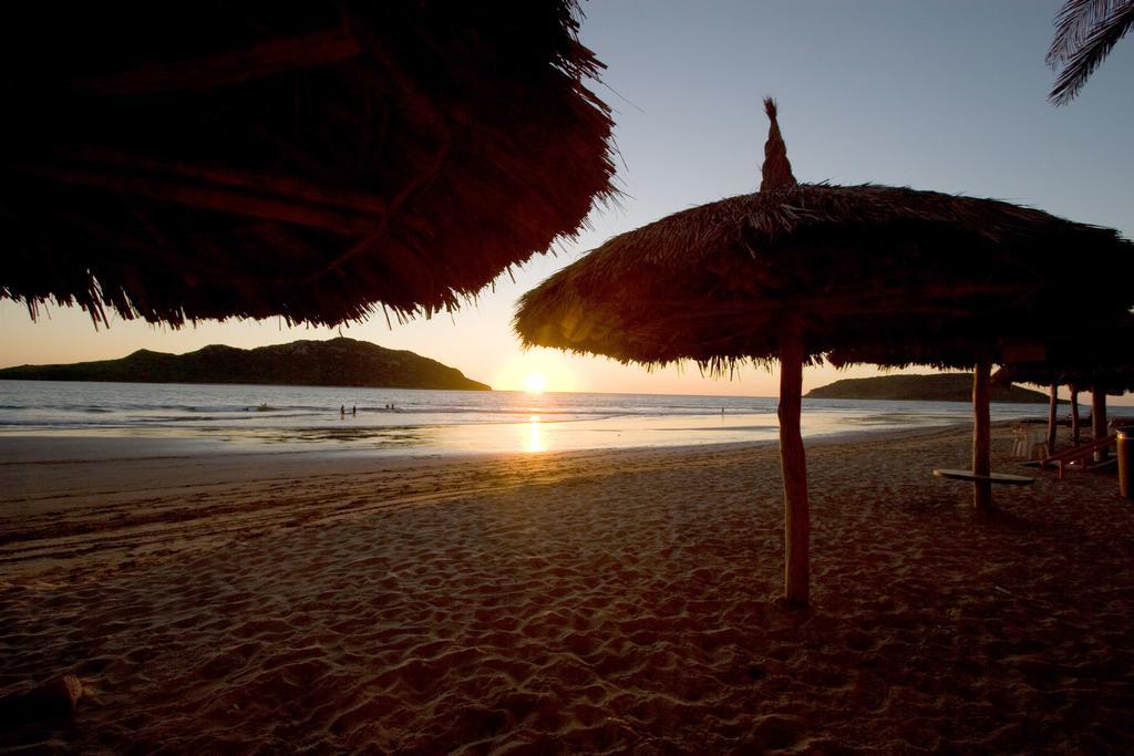 Flores Mazatlán
