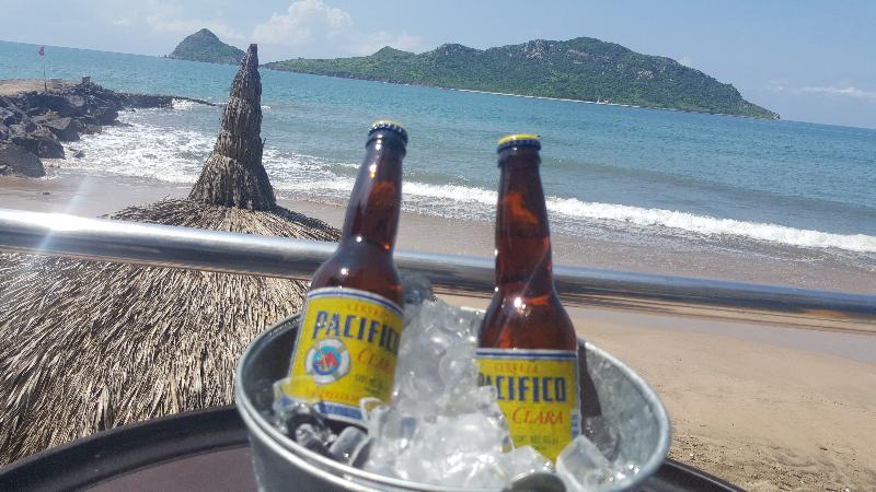 Flores Mazatlán
